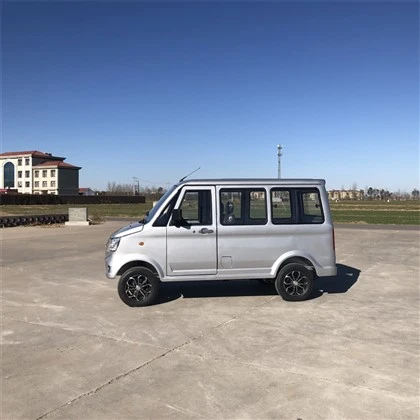 Enterprise Cargo Van