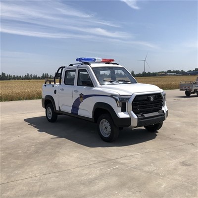 Patrol Electric Tsheb